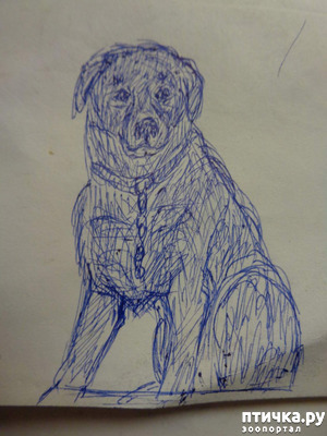 ����: ������