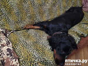 ����: ������� �� �������, �� �������� ����... ���� ����