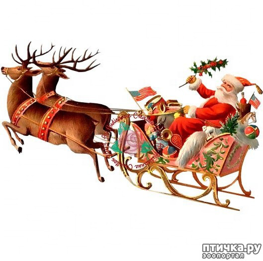 ���� 1: ��������, ����, ����� � ����� ���!