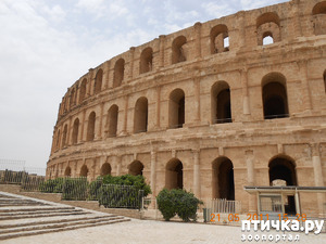 ����: �����. �������.