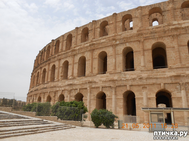 ���� 1: �����. �������.