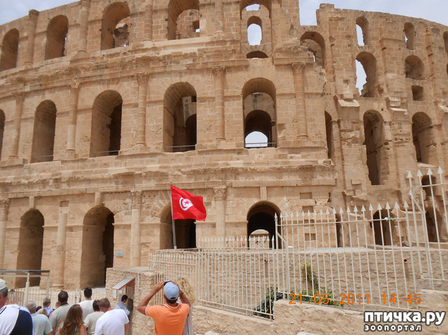 ���� 2: �����. �������.