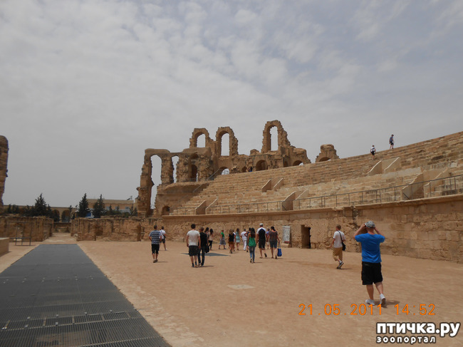 ���� 3: �����. �������.