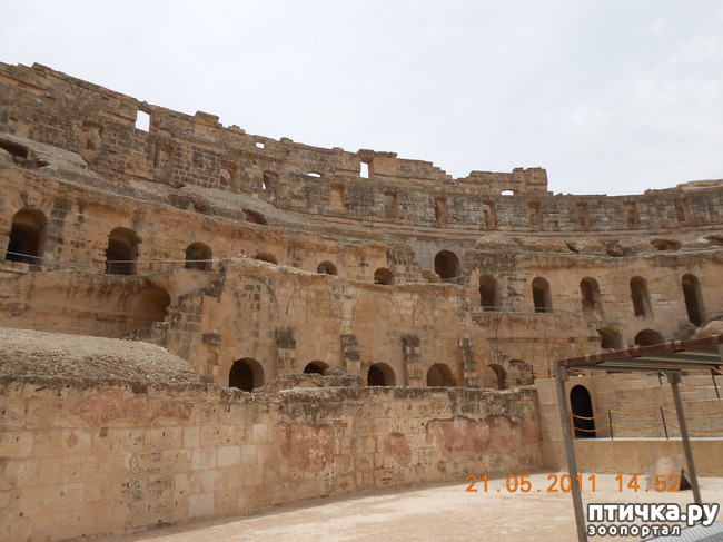 ���� 4: �����. �������.