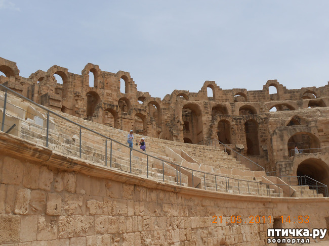 ���� 5: �����. �������.