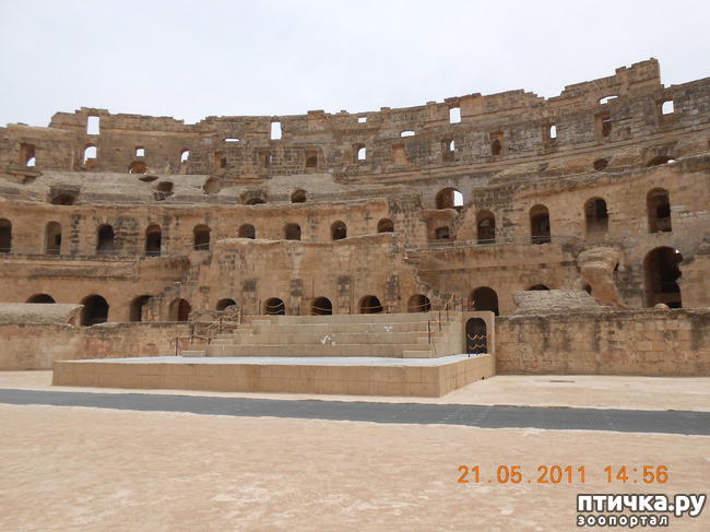 ���� 6: �����. �������.