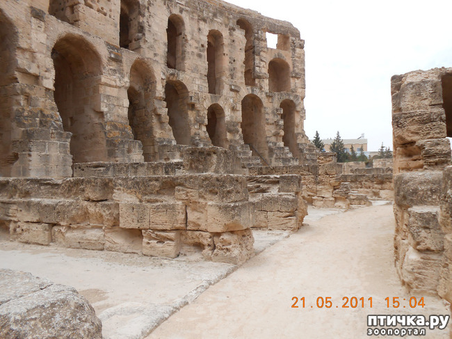 ���� 7: �����. �������.