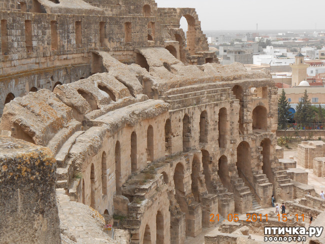 ���� 8: �����. �������.