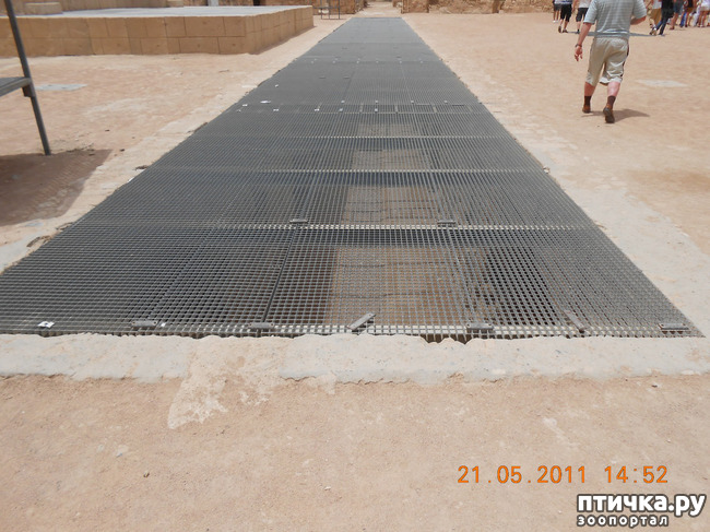 ���� 11: �����. �������.