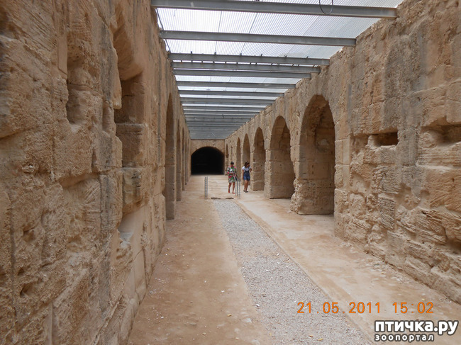 ���� 12: �����. �������.