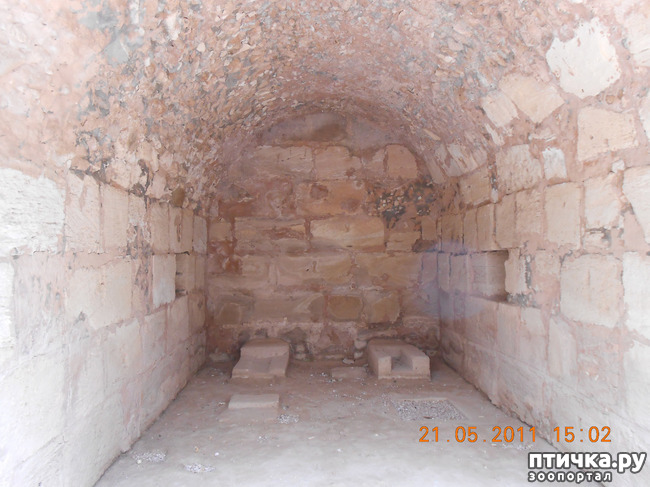 ���� 13: �����. �������.