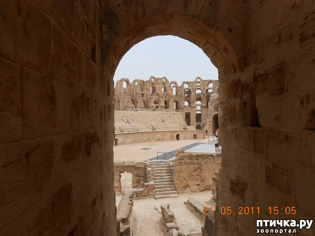 ���� 14: �����. �������.