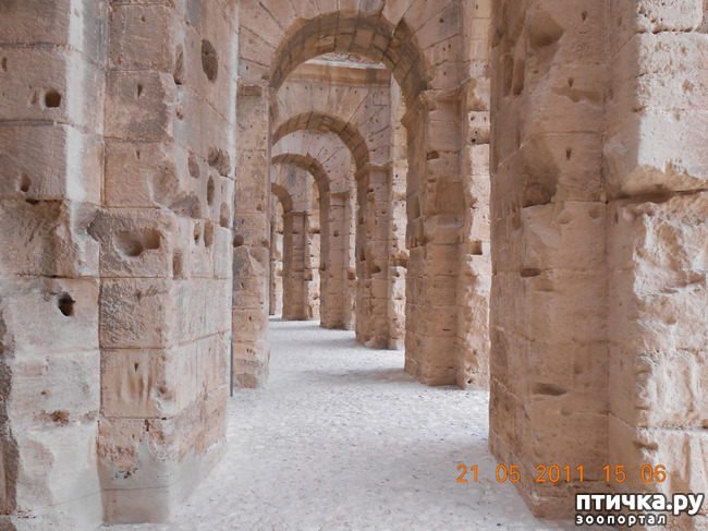 ���� 15: �����. �������.