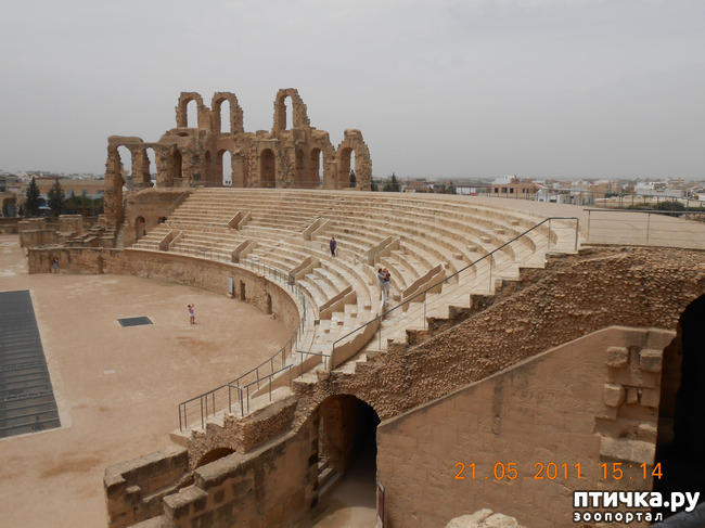 ���� 16: �����. �������.