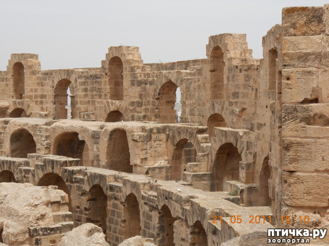 ���� 17: �����. �������.