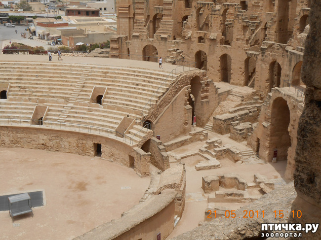 ���� 18: �����. �������.