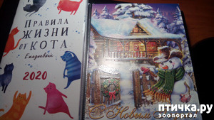 фотография: Сюрприз фото: Сюрприз