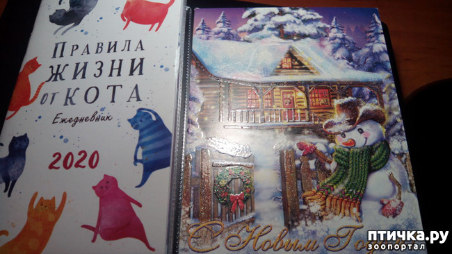 ���� 1: �������