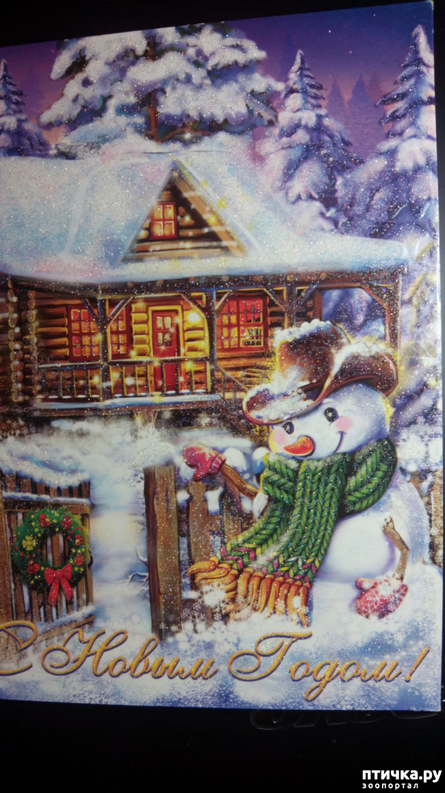 ���� 2: �������