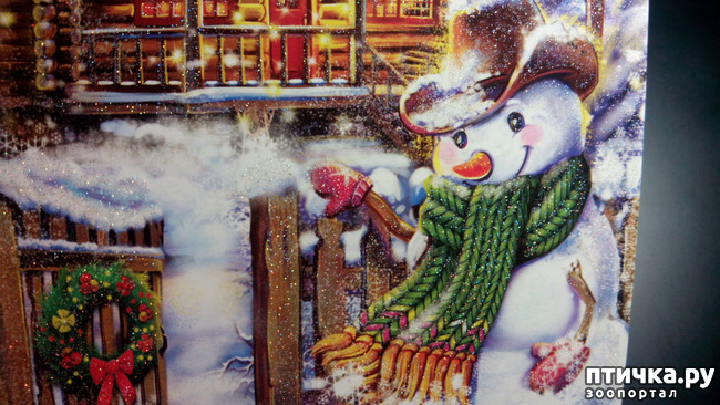 ���� 3: �������