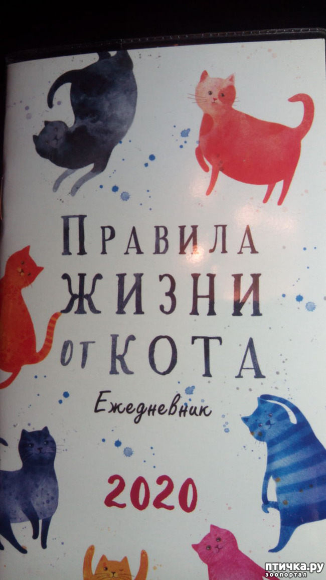 ���� 4: �������