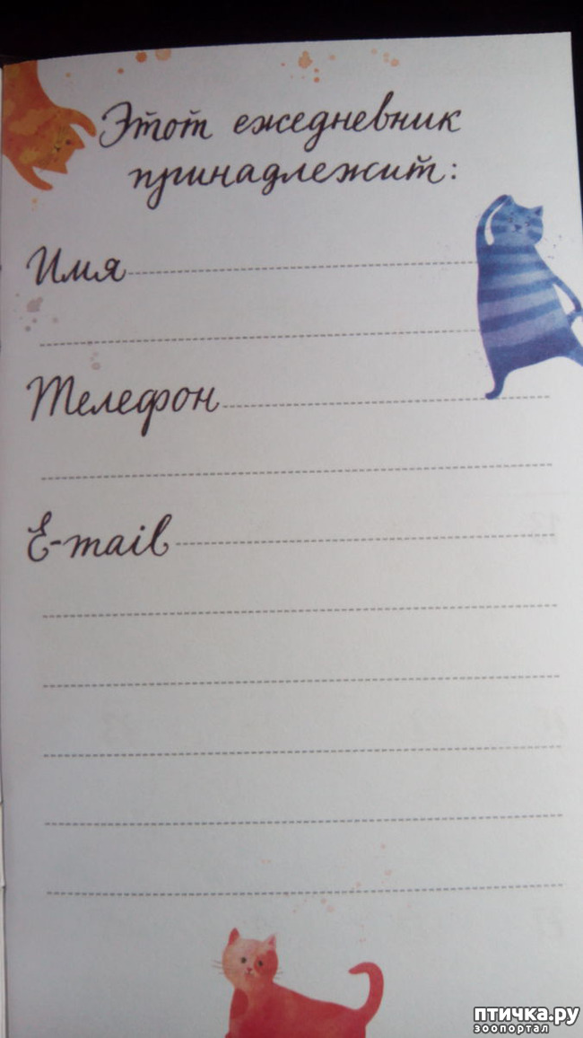 ���� 5: �������