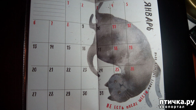 ���� 6: �������