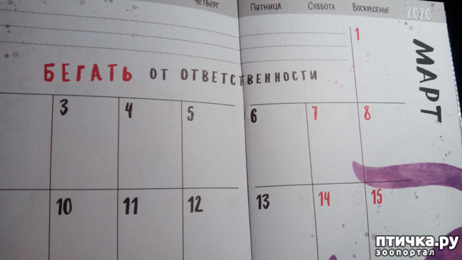 ���� 7: �������