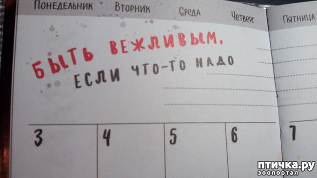 ���� 8: �������