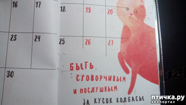 ���� 9: �������