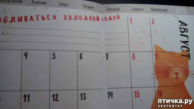 ���� 10: �������