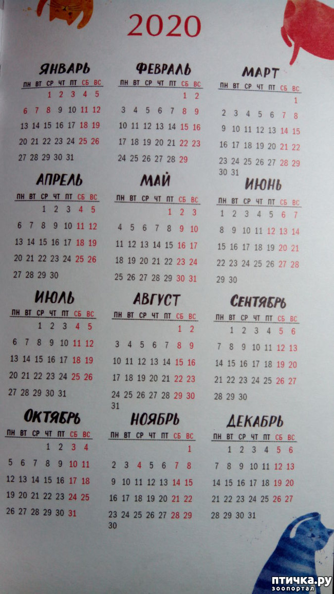 ���� 11: �������