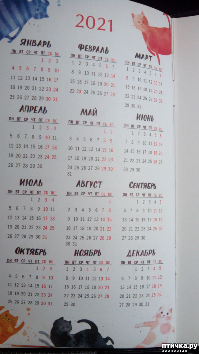 ���� 12: �������