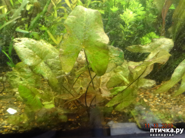 ���� 6: ��������� �������� ���.