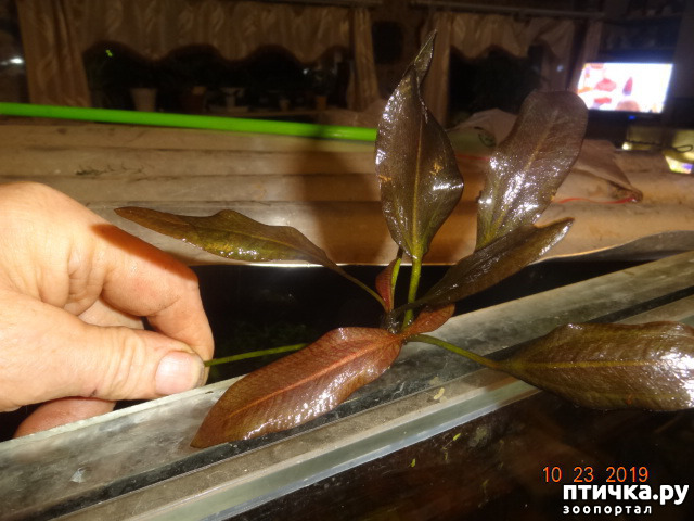 ���� 5: ��������� �������� ���.