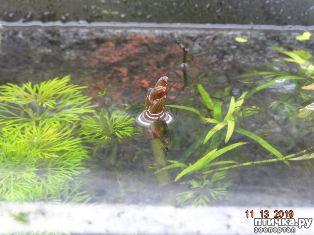 ���� 4: ��������� �������� ���.