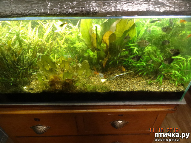 ���� 3: ��������� �������� ���.