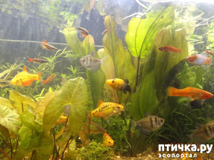 фотография: Особенных новостей нет. фото: Особенных новостей нет.