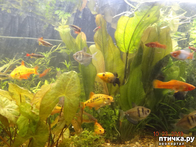 ���� 1: ��������� �������� ���.