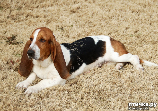 ���� 1: �������� ��������. ������� ������� ����