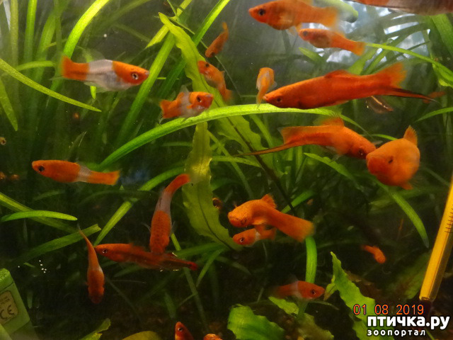 ���� 2: ��������� �������� ���.