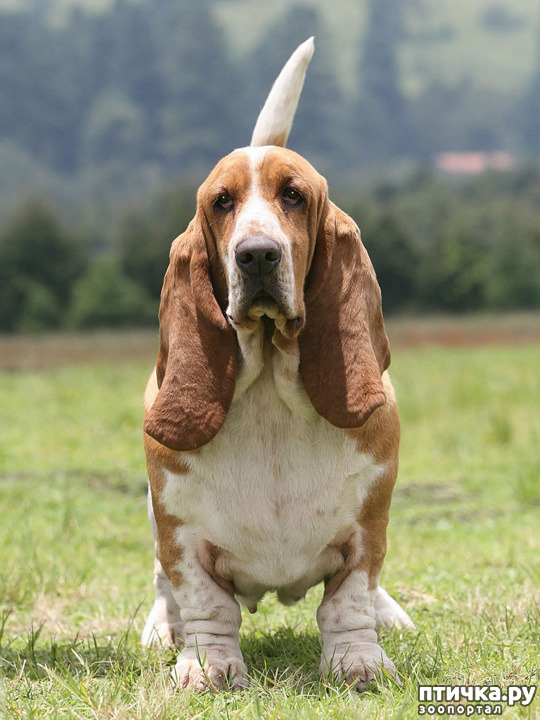 ���� 1: ������� ������� ����-2