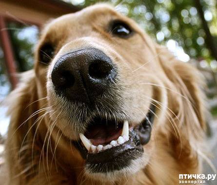 ���� 4: ������������