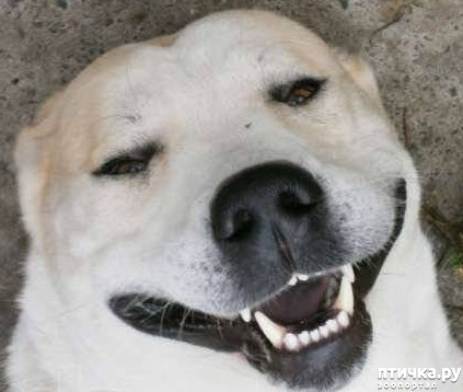 ���� 5: ������������