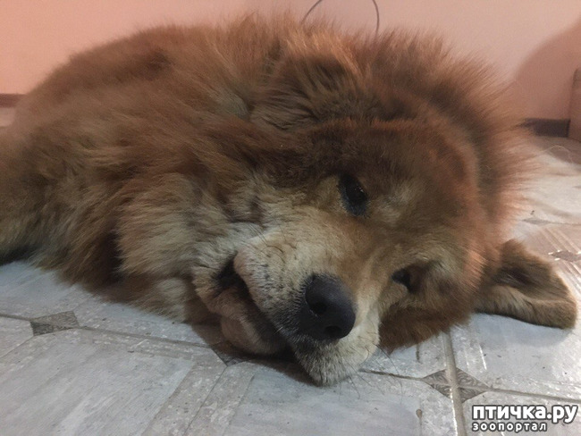 ���� 2: ������������