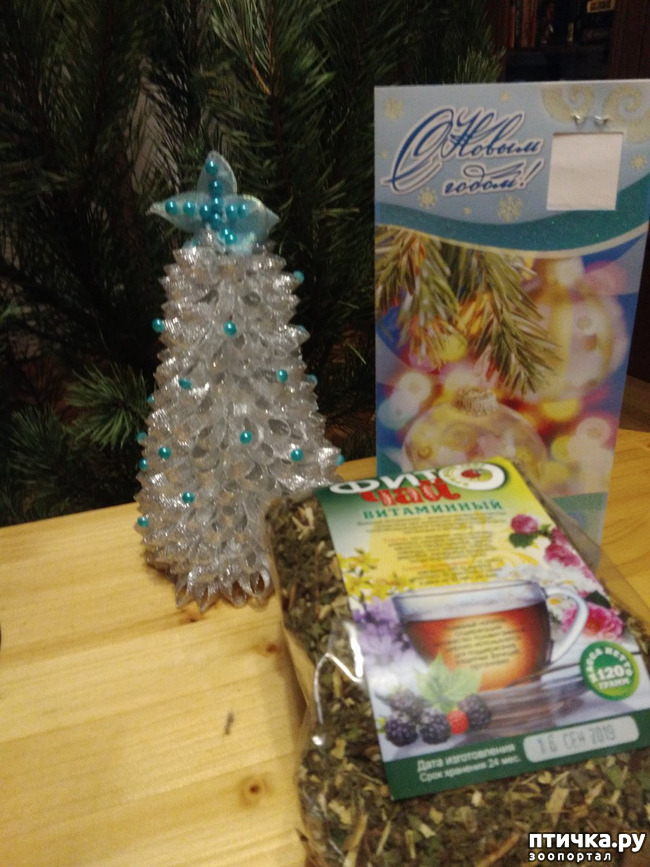 ���� 1: �������!!!