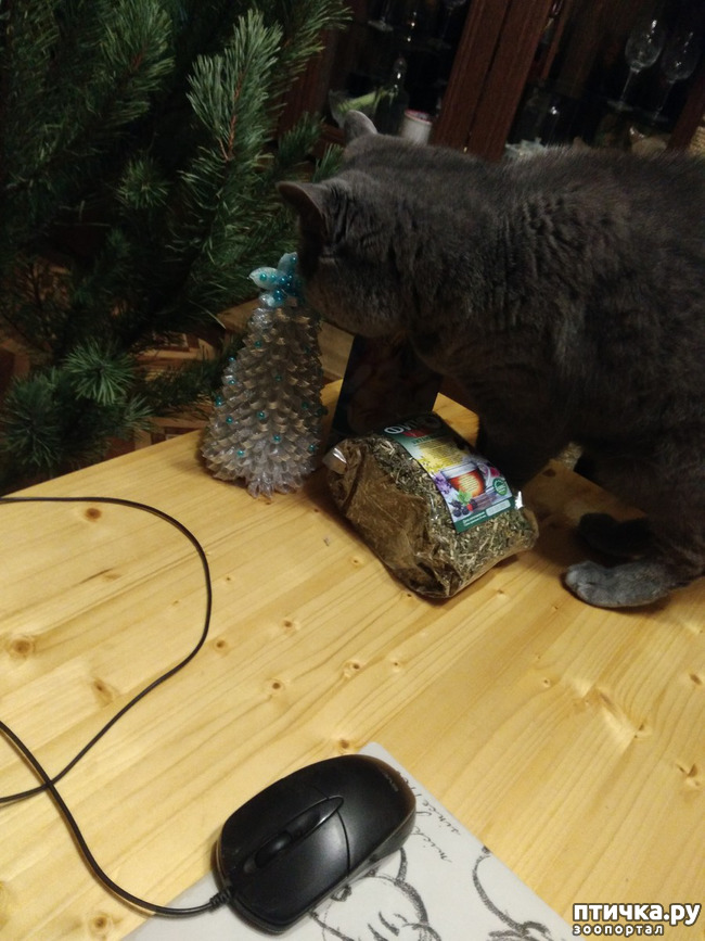 ���� 2: �������!!!