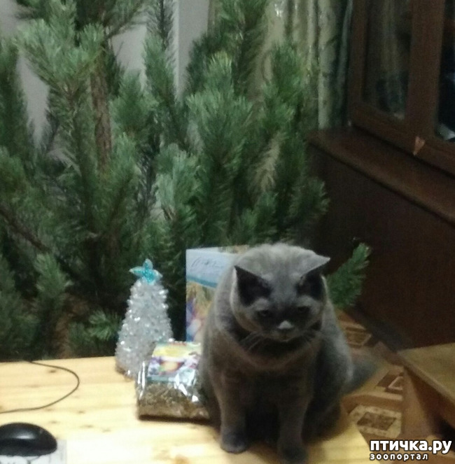 ���� 4: �������!!!