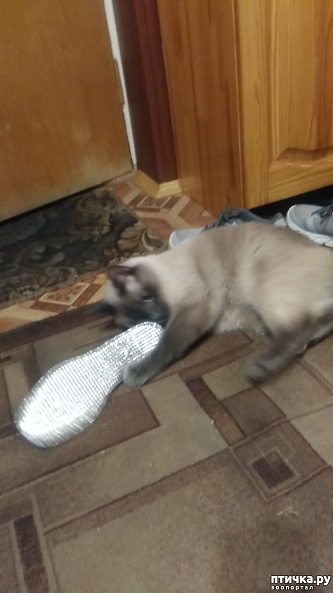 ���� 3: �������!!!