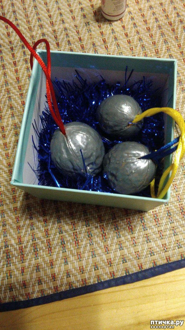 ���� 5: �������!!!